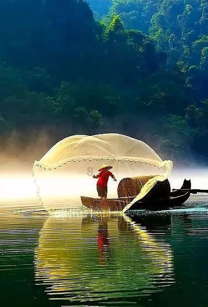 春雨直播app