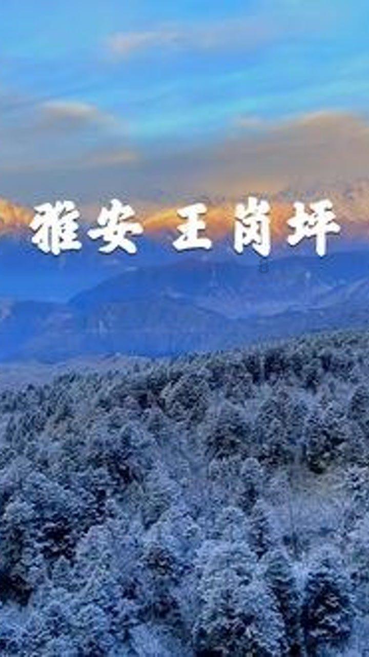 划龙舟吃粽子