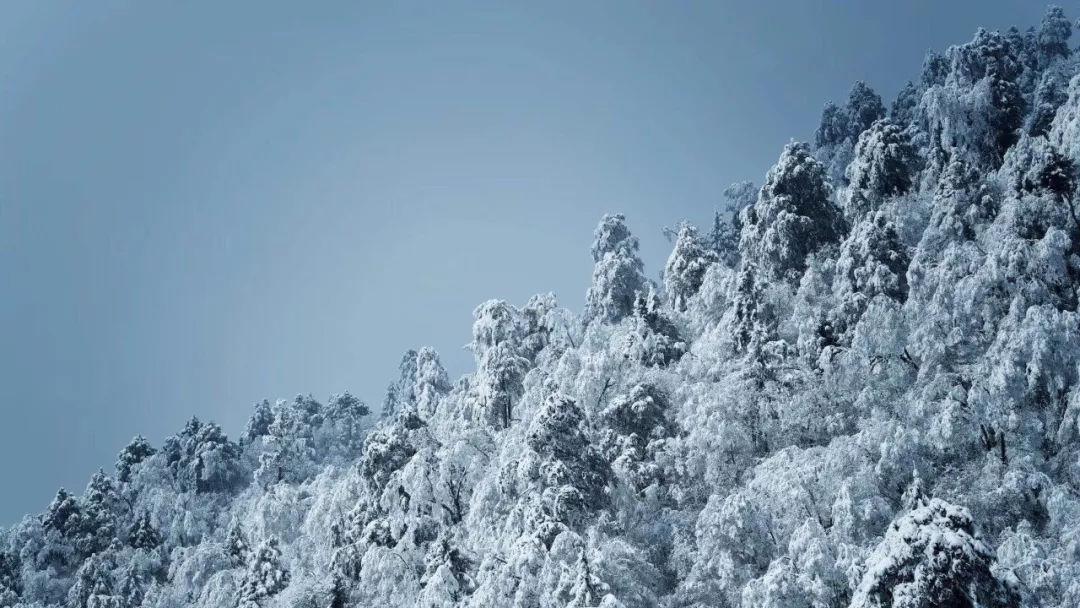 山东好玩的景点你知道吗?除了泰山,还有这些地方也值得一游