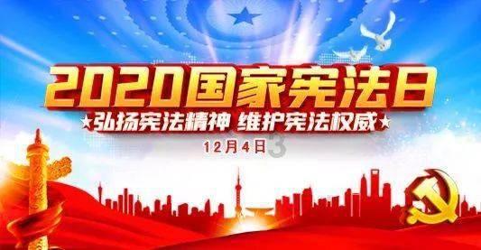 逃离金刚鹦鹉森林