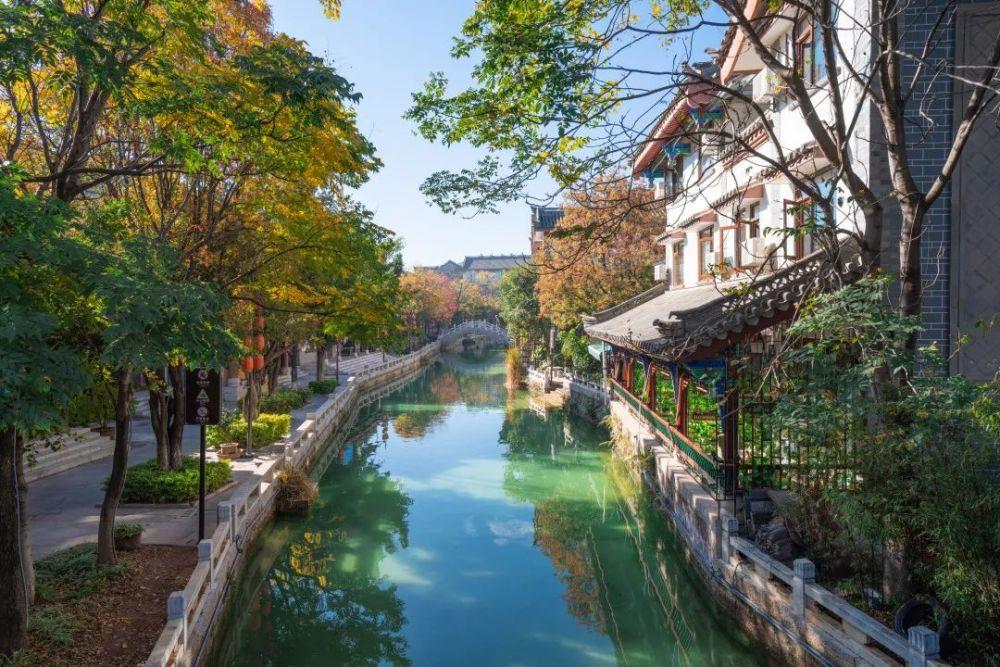 动物帮帮忙保卫家园