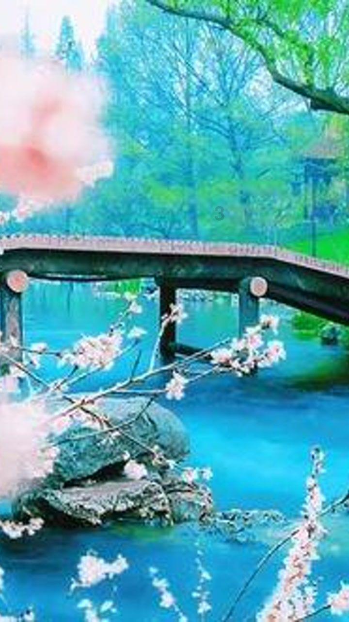 虫虫助手下载